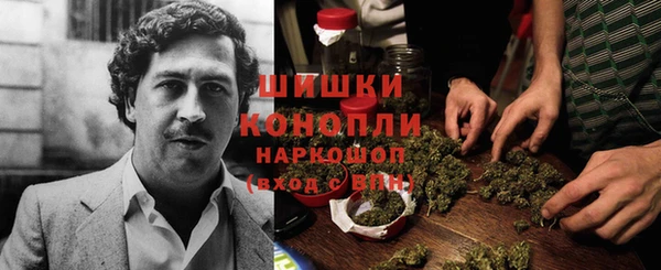 тгк Заводоуковск