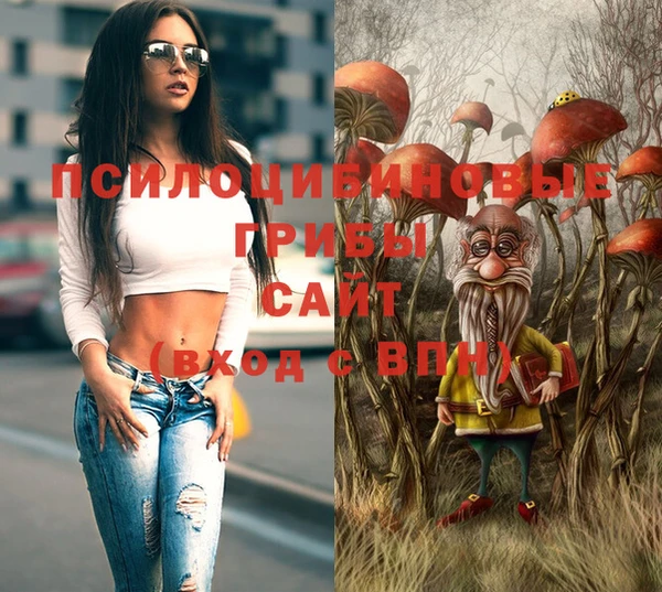 тгк Заводоуковск