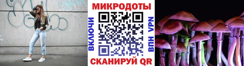 Псилоцибиновые грибы Psilocybine cubensis  Одинцово 